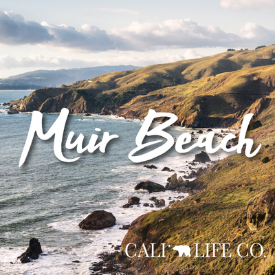 Cali Life Co. Muir Beach polarized UV400 eco-friendly sunglasses designed in San Diego CA